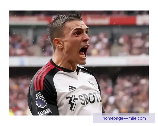 拜仁慕尼黑正式官宣签下葡萄牙中场新星若昂帕利尼亚